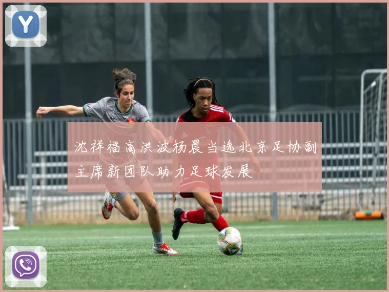 沈祥福高洪波杨晨当选北京足协副主席新团队助力足球发展